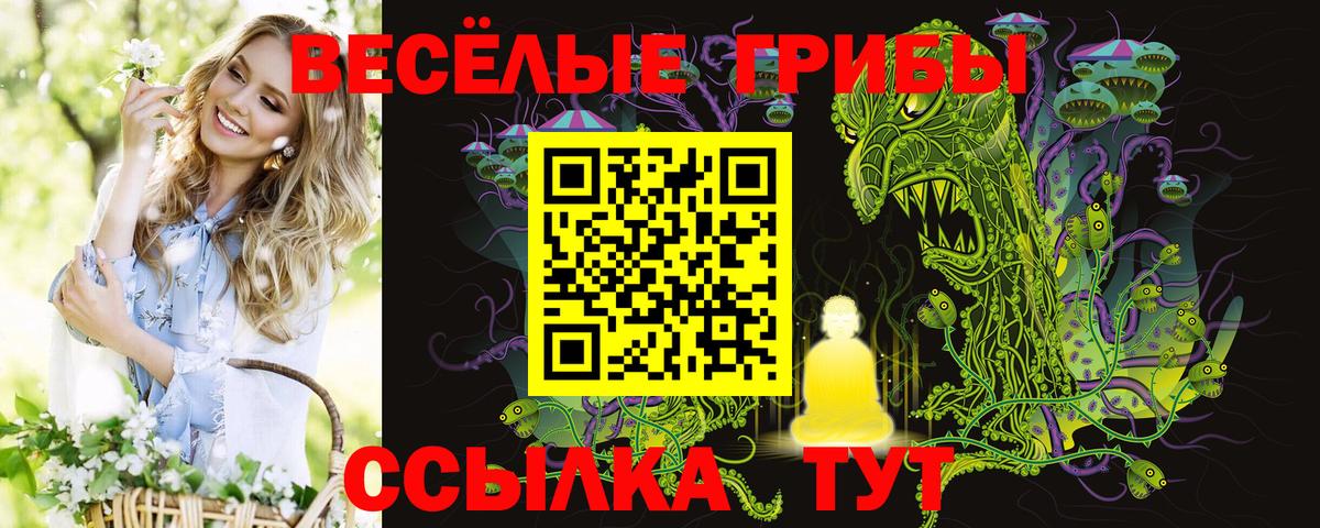 Псилоцибиновые грибы GOLDEN TEACHER Шелехов