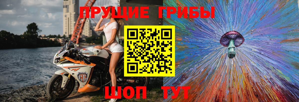 Псилоцибиновые грибы Cubensis  где купить наркотик  Шелехов  Вход с VPN 